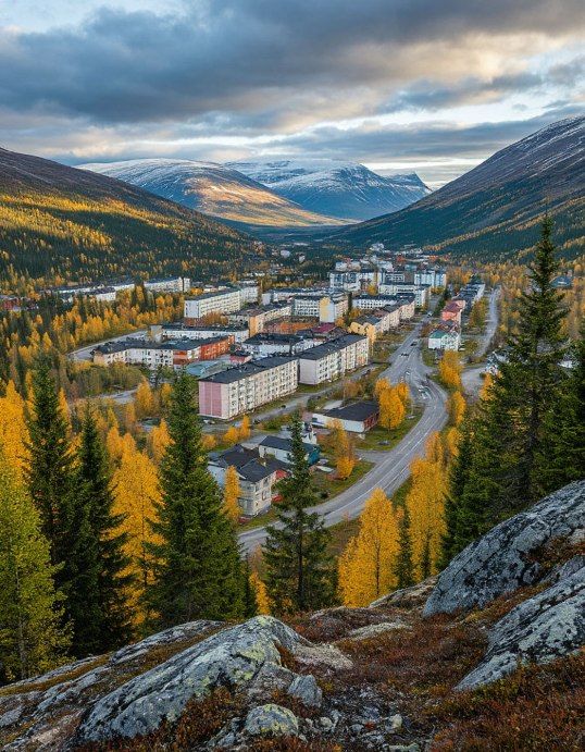 в займ ковдор